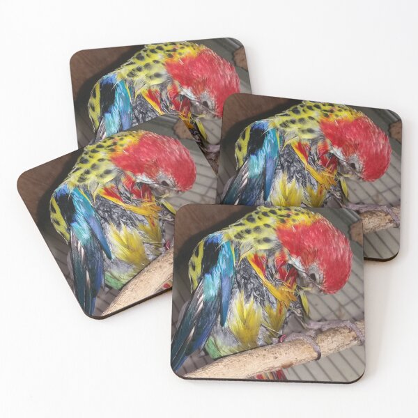 Item preview,  Magnificent rose, bird, bathe designed and sold by Sternchen2789.