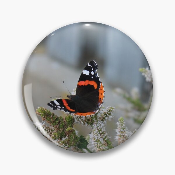 Artikelvorschau, Schmetterling Der Admiral entworfen und verkauft von Alex-Creare.