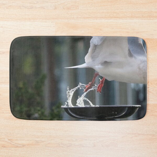 Item preview, Bonaparte Gull leaving Fountain - foot splash designed and sold by Penwortham.