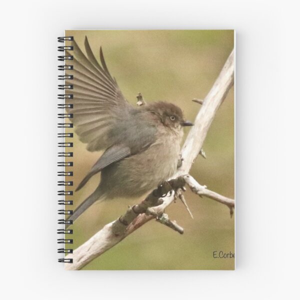 Item preview, Bushtit landing  designed and sold by Penwortham.