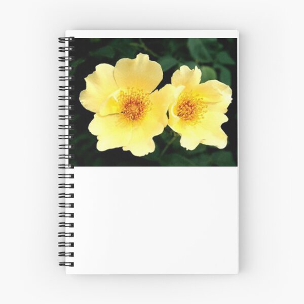 Item preview, DOUBLE YELLOW HIBISCUS designed and sold by JAYMILO.