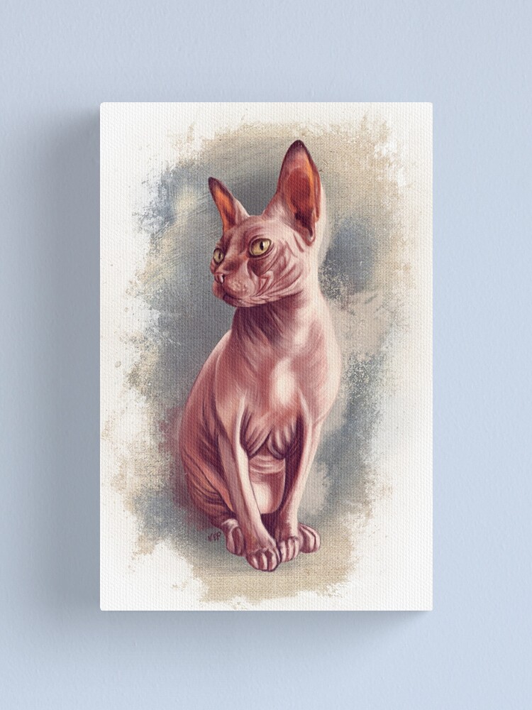 Impression Sur Toile Chat Sphynx Par Spectralstories Redbubble