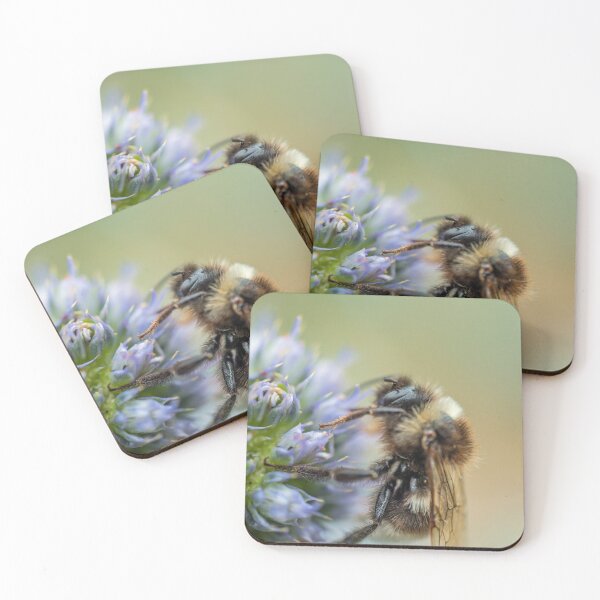 Item preview, Bee on Sea Holly Flower South Wales Coast designed and sold by Cameranick.