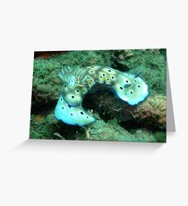 Risbecia Curve Greeting Card