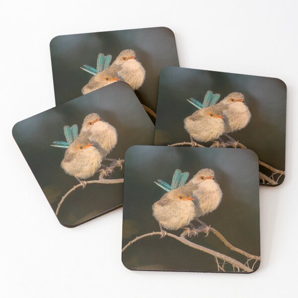 Item preview, Splendid Fairywrens Cuddling designed and sold by cschester4.