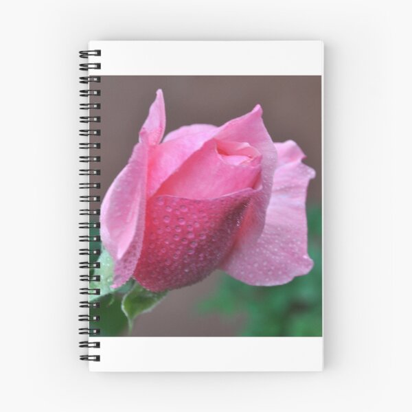 Item preview, BEAUTY IN A PINK ROSE BUD designed and sold by JAYMILO.
