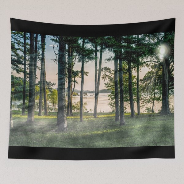 Item preview, Foggy Trees At Table Rock designed and sold by mljdwhite.