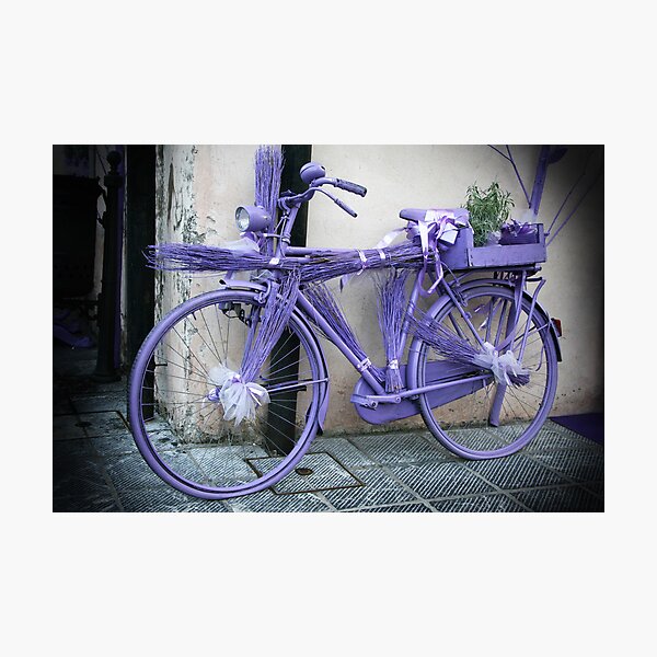 Lavender bicycle Photographic Print
