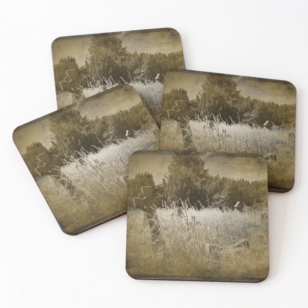 Item preview, Victorian graveyard meadow in Cambridge  designed and sold by eighths.