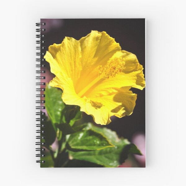 Item preview, BEAUTIFUL SINGLE YELLOW HIBISCUS  designed and sold by JAYMILO.