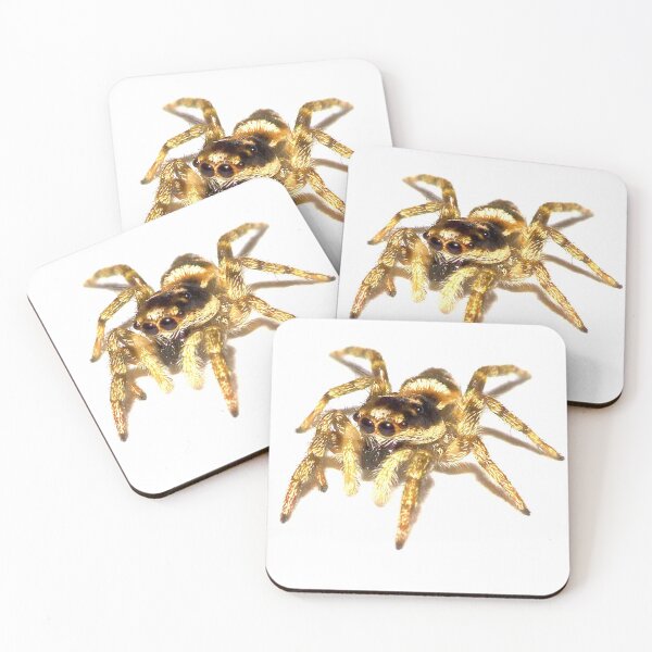 Item preview, Cute realistic Jumping Spider designed and sold by nickp1480.
