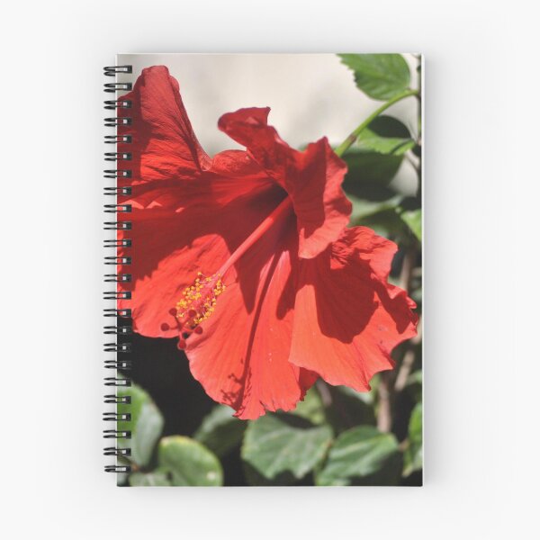 Item preview, RED HIBISCUS WITH RED AND YELLOW STYBUS designed and sold by JAYMILO.