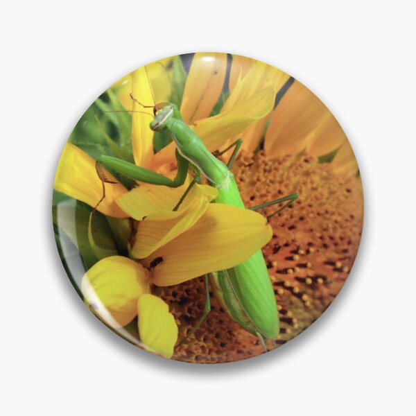 Artikelvorschau, Gottesanbeterin auf Sonnenblume entworfen und verkauft von Johnny Furlotte.