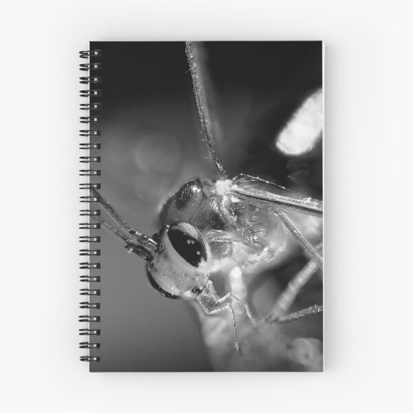 Item preview, Insect in Extreme Macro designed and sold by Javier Narváez Solarte.