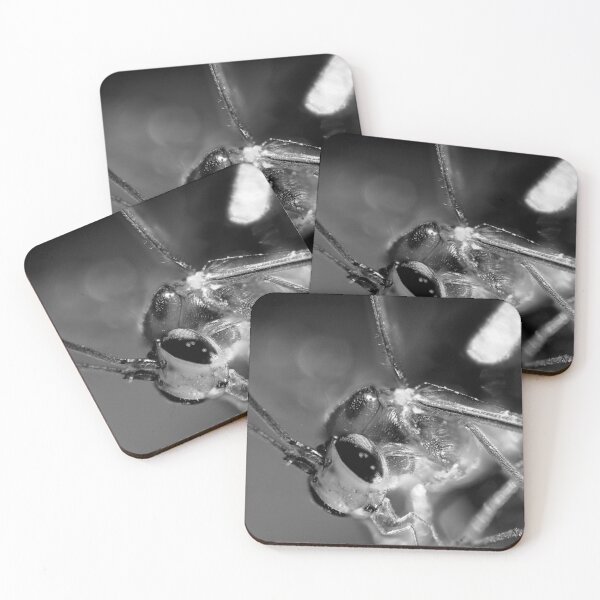 Item preview, Insect in Extreme Macro designed and sold by Javier Narváez Solarte.