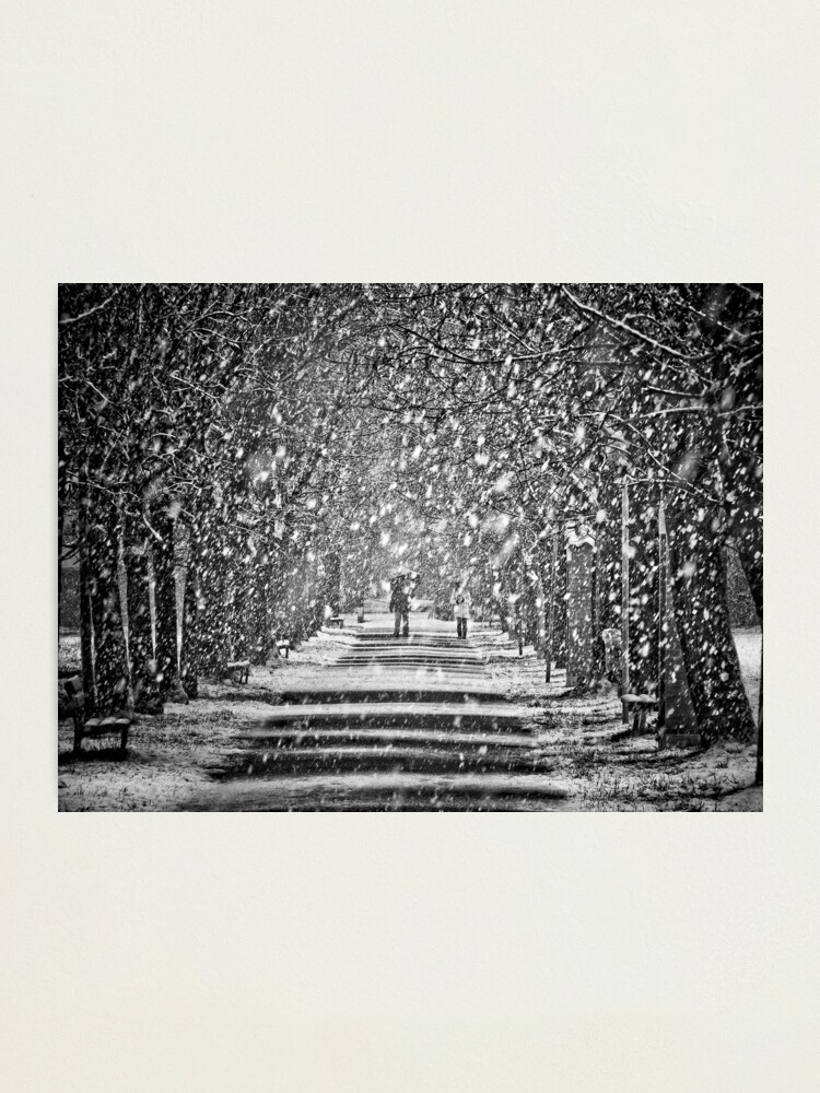 Alternate view of A walk in the snow Photographic Print
