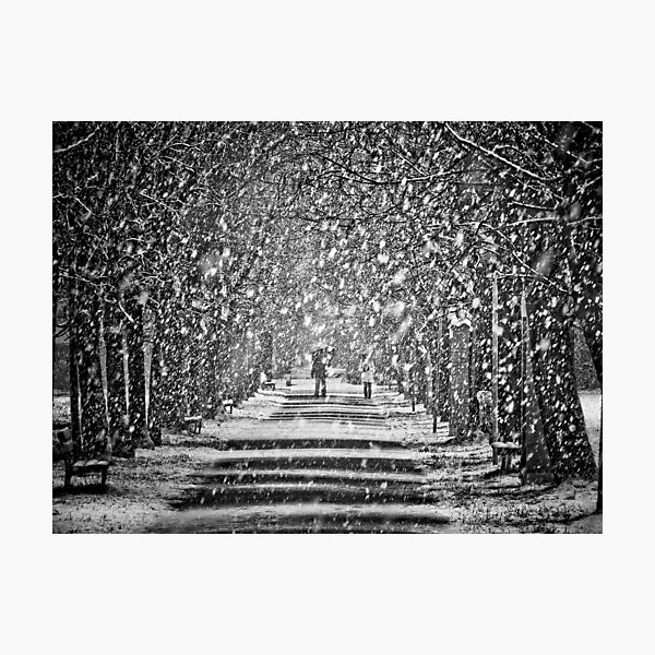 A walk in the snow Photographic Print