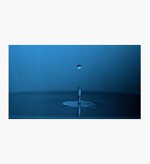 Droplet Photographic Print