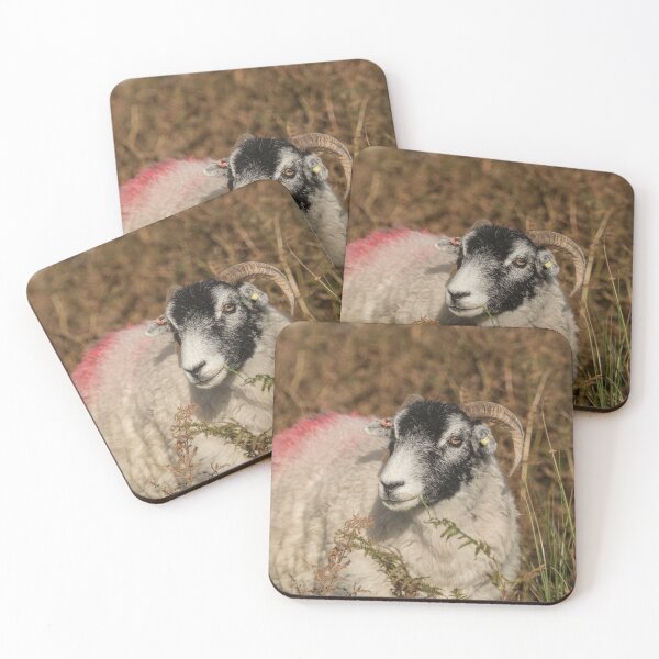 Item preview, Swaledale Sheep designed and sold by Judi Lion.