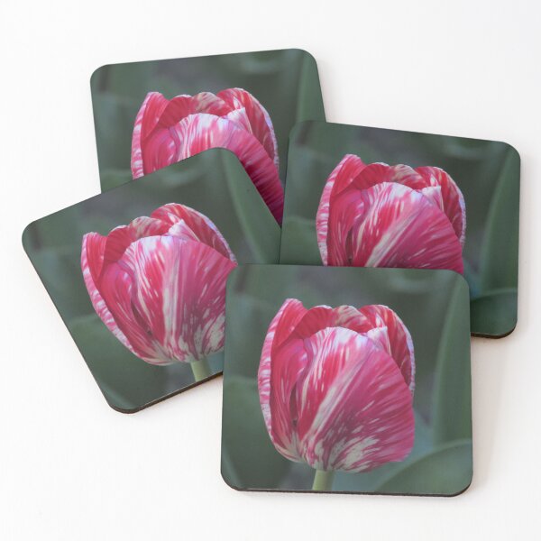 Item preview, Lonely tulip designed and sold by equilibrum08.