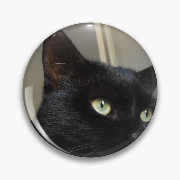 Item preview, Crockett designed and sold by AHELENE.