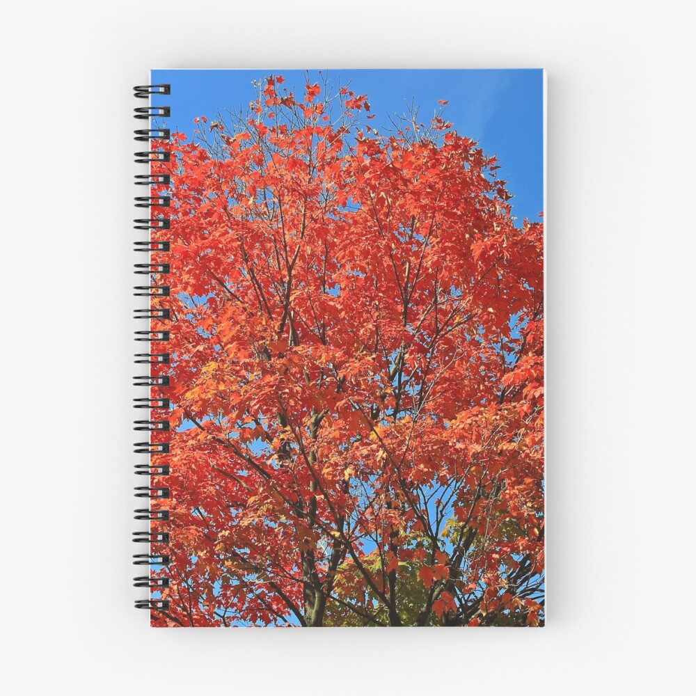 Item preview, Spiral Notebook designed and sold by pmarella.
