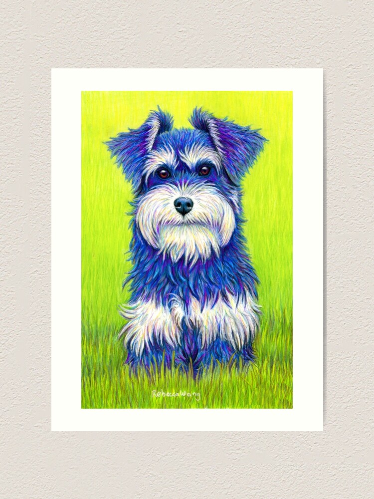 Alternate view of Curiosity - Colorful Miniature Schnauzer Dog Art Print