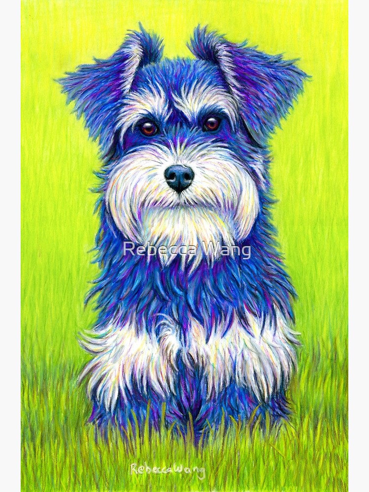 Curiosity - Colorful Miniature Schnauzer Dog by lioncrusher