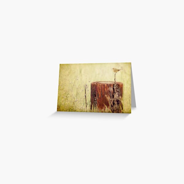 Glorious Moment Greeting Card