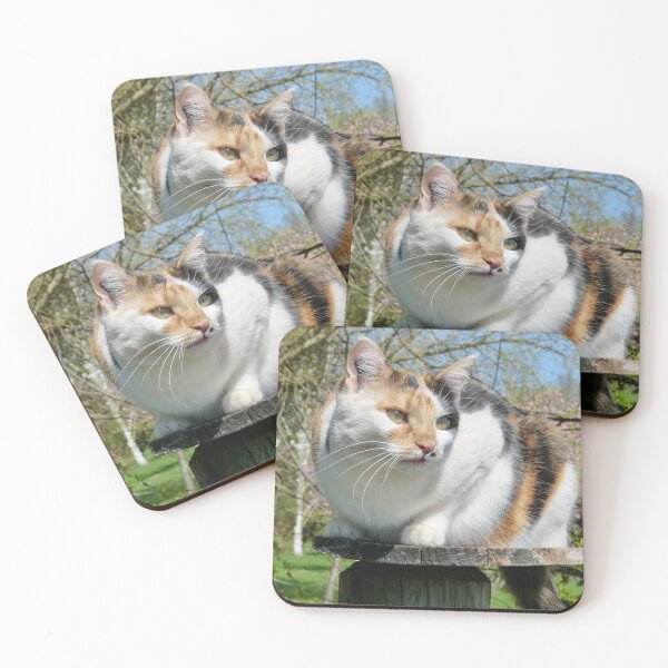 Item preview, TRIXIE designed and sold by Marilyn Grimble.