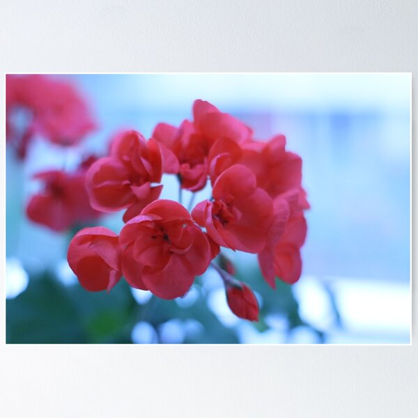 Item preview, K street 0059 Red Flower designed and sold by Thehumanmarie.