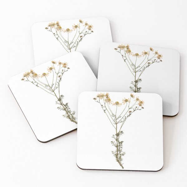 Item preview, Chamomile, plants, herbarium, nature, medicinal plants, flowers designed and sold by tribesymbols.