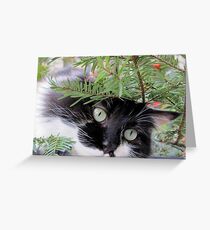 Happy Holidays, Happy Christmas ! Greeting Card