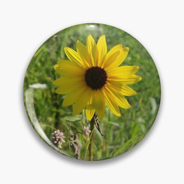 Item preview, Sunny designed and sold by MortalLove.