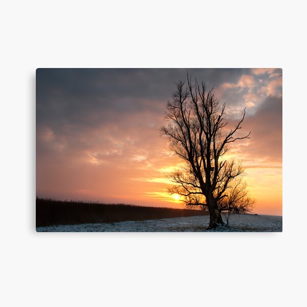 Item preview, Winter,so lonely cold! But the sun will be... designed and sold by THHoang.