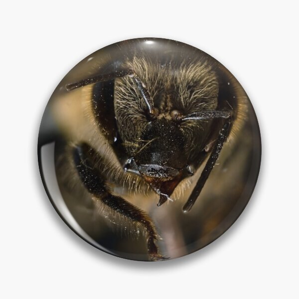 Item preview, Bee in extreme macro designed and sold by Javier Narváez Solarte.