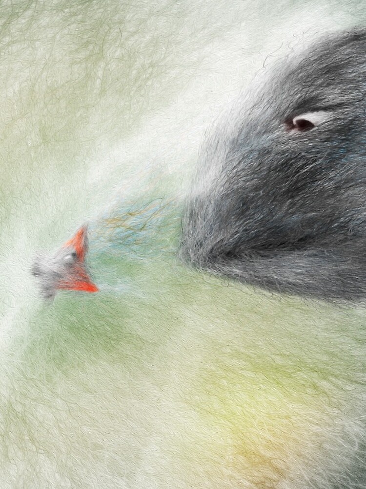 A Selfish Fish by Nerva