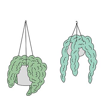 Artwork thumbnail, Cute aesthetic hanging plants by Pastel-PaletteD