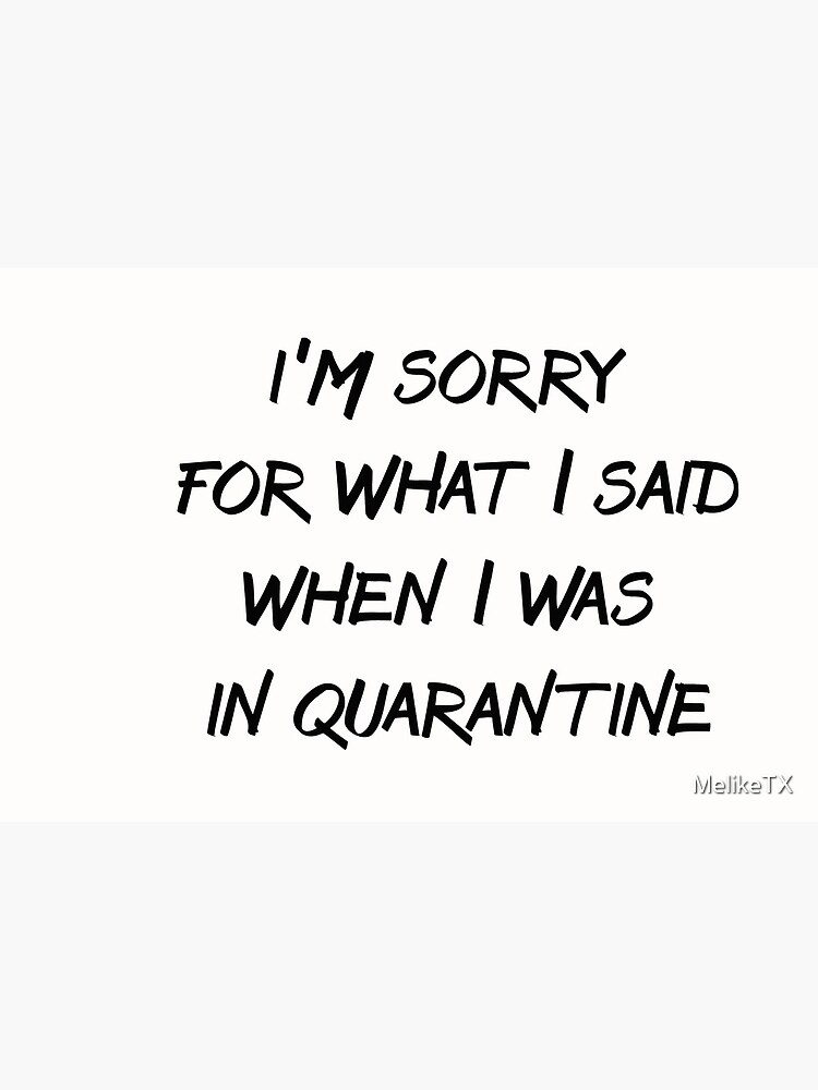 I'm sorry for what i said when I was in quarantine,quarantine life, funny  corona design,humorous quarantine shirt