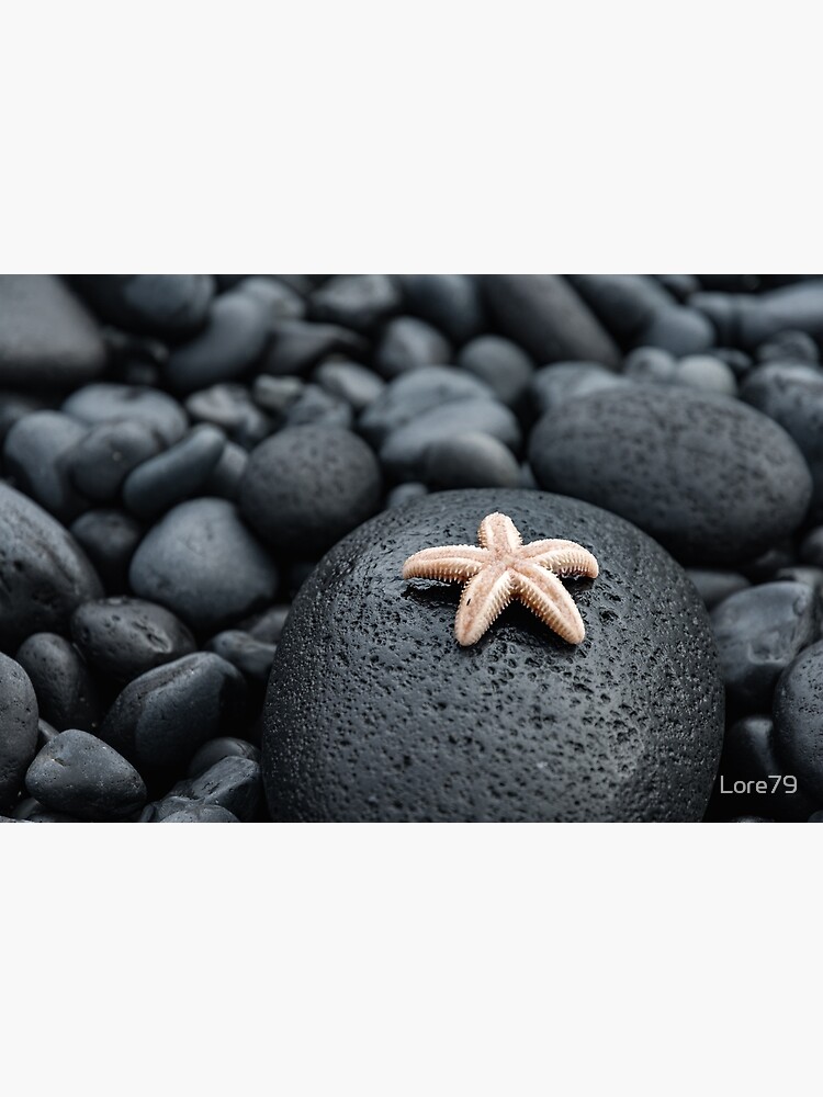 Cute starfish on lava rocks by Lore79
