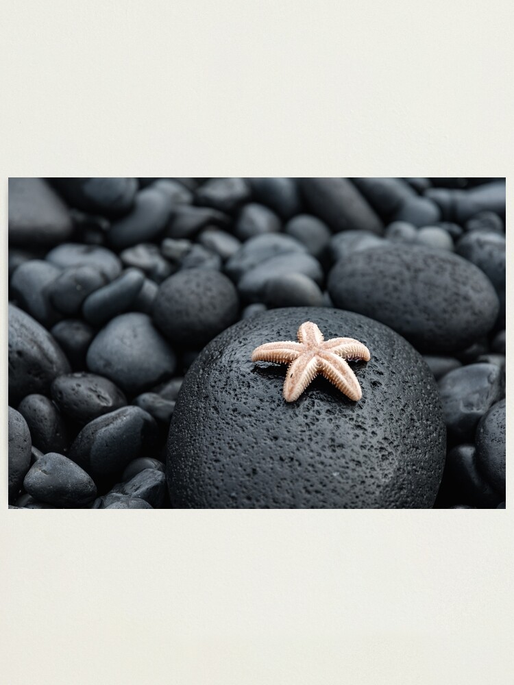 Alternate view of Cute starfish on lava rocks Photographic Print