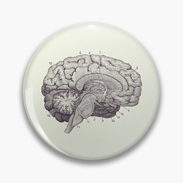 Item preview, Human Brain Anatomy Diagram 2 designed and sold by VAposters.