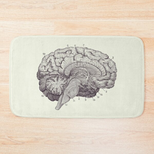 Item preview, Human Brain Anatomy Diagram 2 designed and sold by VAposters.