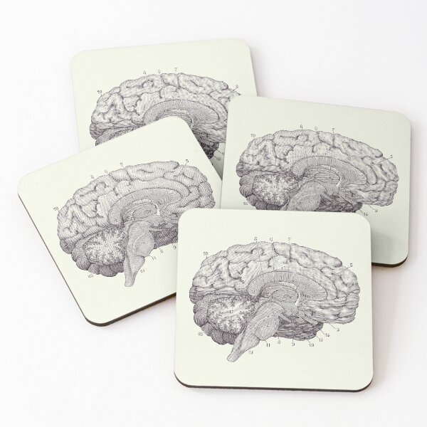 Item preview, Human Brain Anatomy Diagram 2 designed and sold by VAposters.
