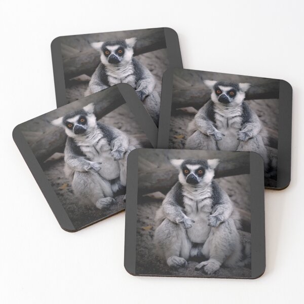 Item preview, Ringtail Lemur designed and sold by Savannah Gibbs.