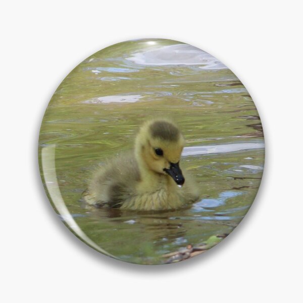 Item preview, Gosling Swimming designed and sold by Susie Kramer.