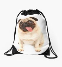 Mops Turnbeutel