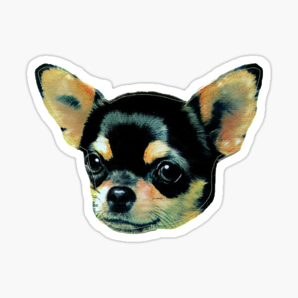 Chiwawa Gifts & Merchandise | Redbubble