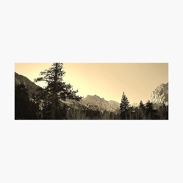 Pine Creek Photographic Print