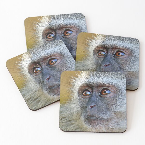 Item preview, Vervet Monkey designed and sold by Leslie Naylor.